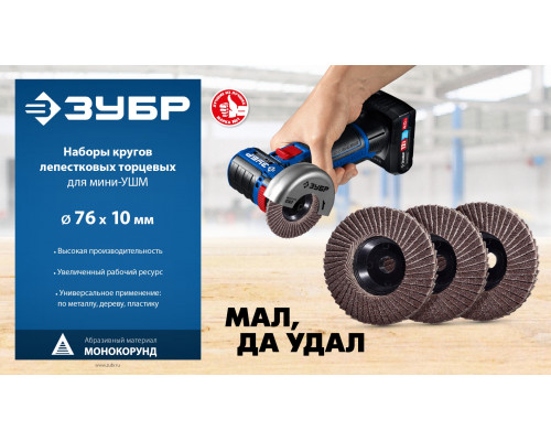ЗУБР 76 х 10 мм, P60, 3 шт., КЛТ для мини-УШМ, Профессионал (36591-76-60-H3)