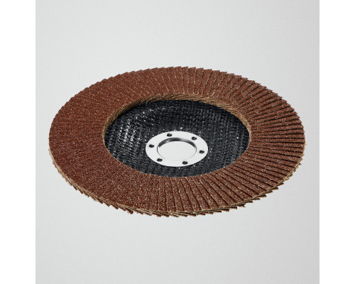 STAYER 125 х 22.2 мм, P60, КЛТ, Круг лепестковый торцевой, Professional (36581-125-060)