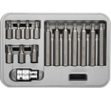 Набор ЗУБР: Биты специальные в пластиковом боксе, TORX, 15 предметов