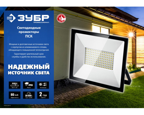 ЗУБР ПСК-30, 30 Вт, 6500 К, IP 65, светодиодный прожектор, Профессионал (57141-30)